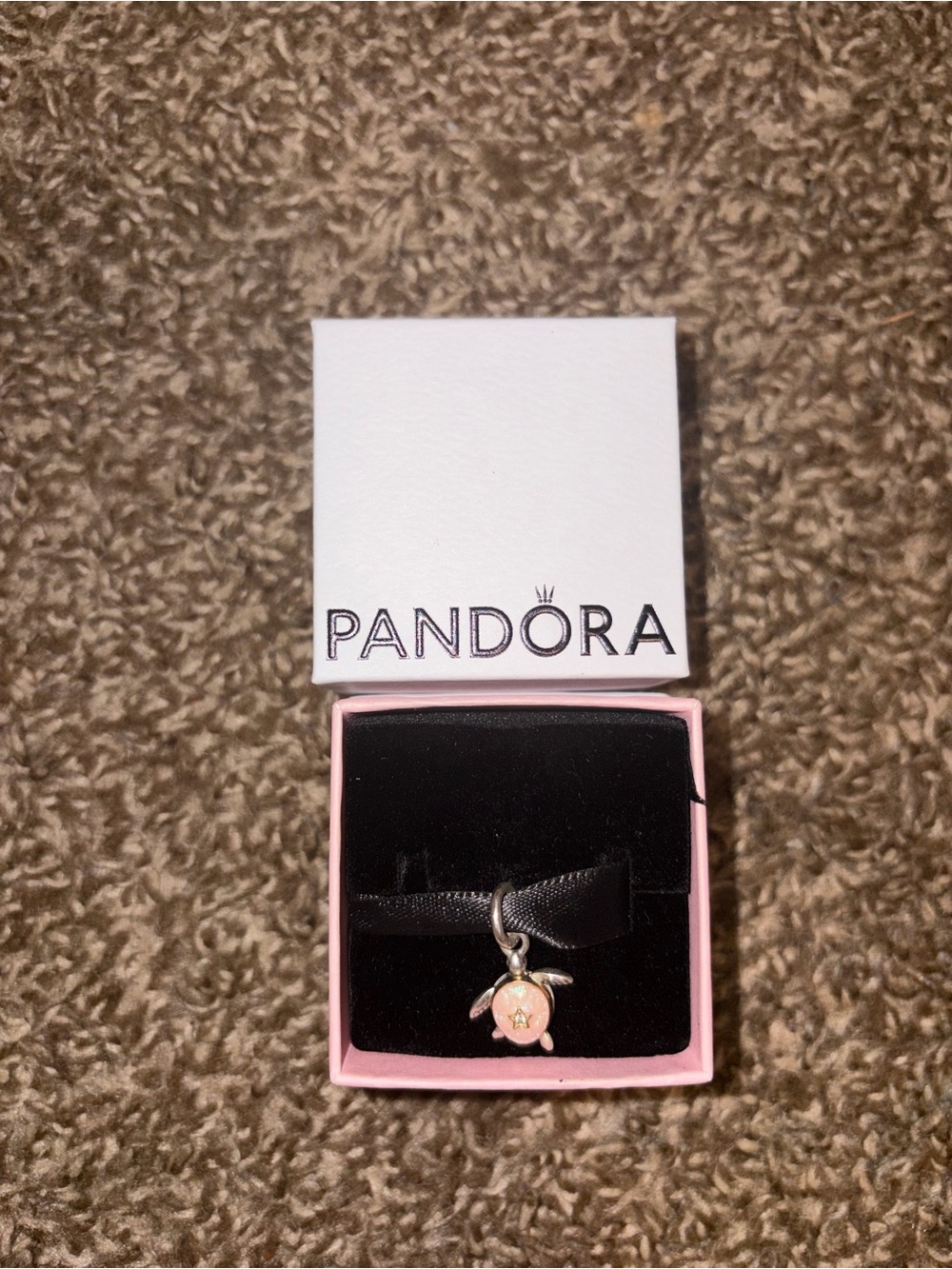 2026 Pandora Sea Turtle Charm